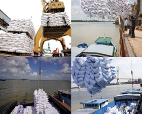 Khai thác hàng rời - đóng bao