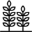 PHÁT TRIỂN BỀN VỮNG